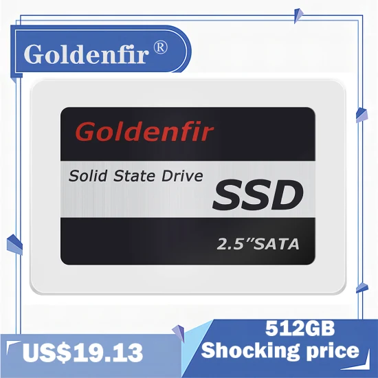 Goldenfir SSD256GB Original Chip High Speed SSD Solid State Drive 256GB Lowest Price