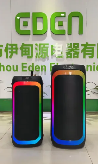 Dual 8 Inch Subwoofer Sound Box Wireless Home Theater Active PA Party Bluetooth Rechargeable Speaker