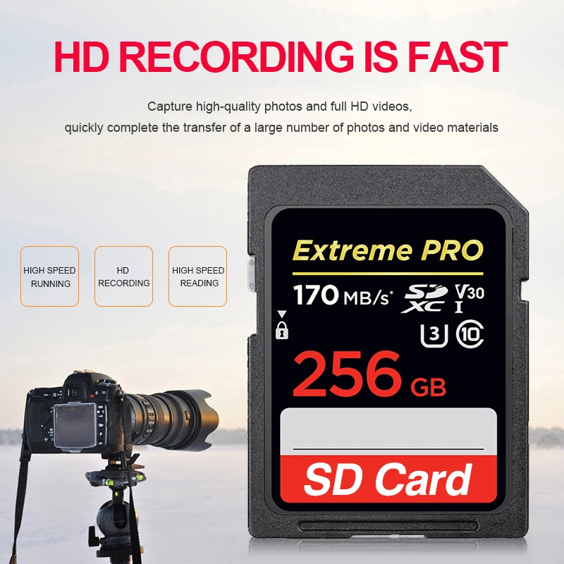 Cheapest Factory Price Camera SD Cards 2GB 4GB 8GB16GB 32GB 64GB 128 GB SD Cards Memord Cards