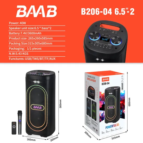 Baab Private Mold Dual 6.5 Inch Subwoofer Sound Box Wireless Home Theater Active PA Party Bluetooth Rechargeable Speaker 
