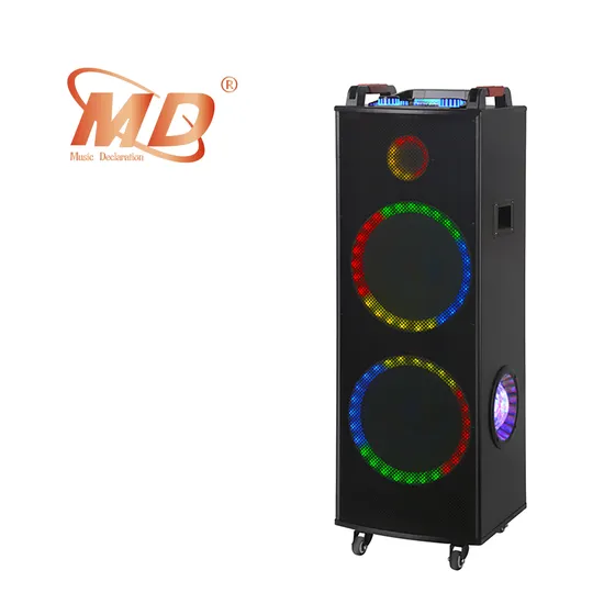 Hot Sale 12inch Party Active Speaker with Colorful Light 