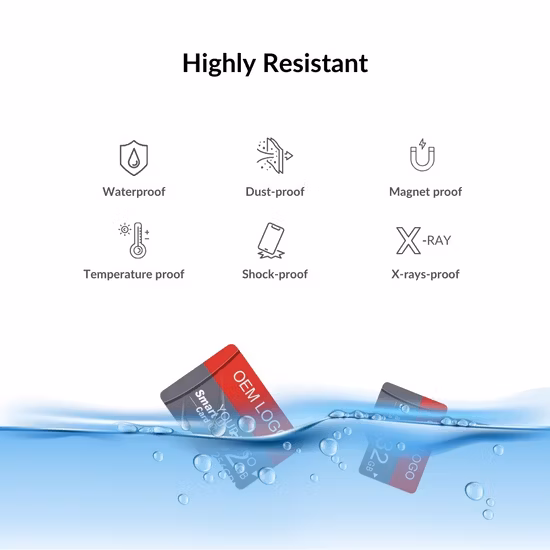 32GB Class 10 SD Memory Card Micro Card (32GB TF)