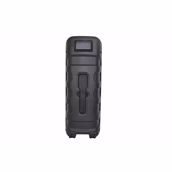 Temeisheng Portable Party Speaker Dual 8 Inch Plastic Wireless Bluetooth Audio Outdoor Speaker